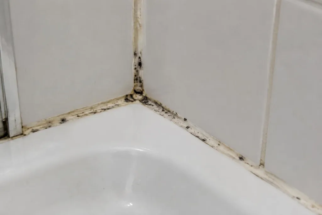 Kitbedrijf Maassluis – beschimmelde kitranden